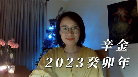 辛金2023|2023年，辛金日主运势解读